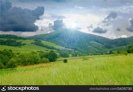 Landscape from meadow with yellow flowers and deep blue sky