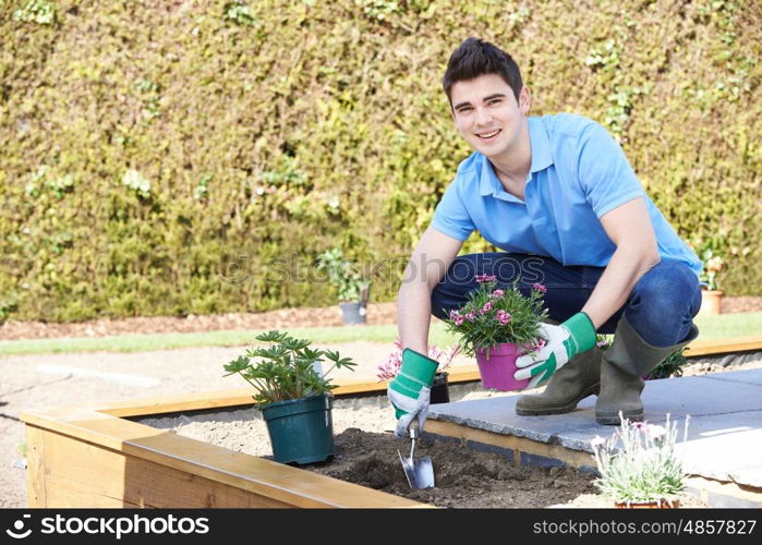 Landscape Gardener Planting Flower Bed In Garden