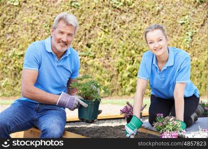 Landscape Gardeners Planting In Flower Bed