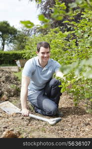 Landscape Gradener Planting Hedge