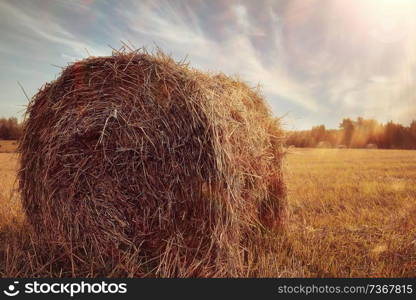 landscape haystacks in a field of autumn village