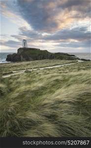 Landscape image of Twr Mawr lighthouse with grassy footpath in foreground at sunset