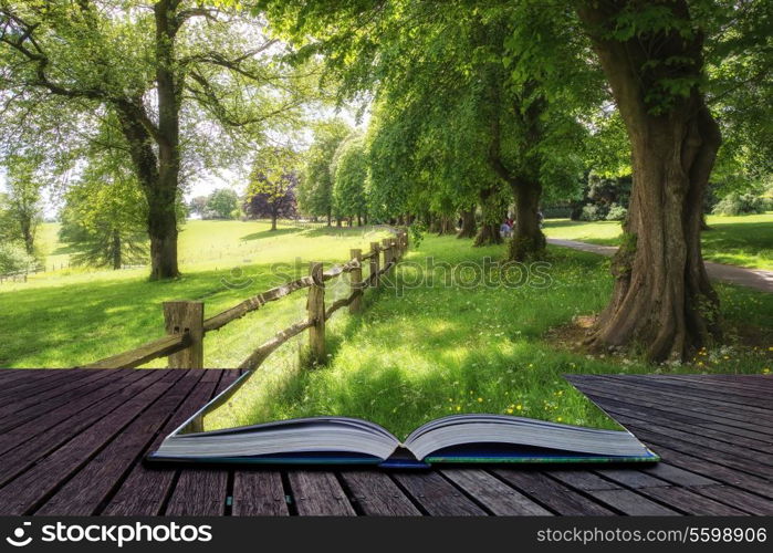 Landscape image of vibrant lush green forest woodland scene Creative concept