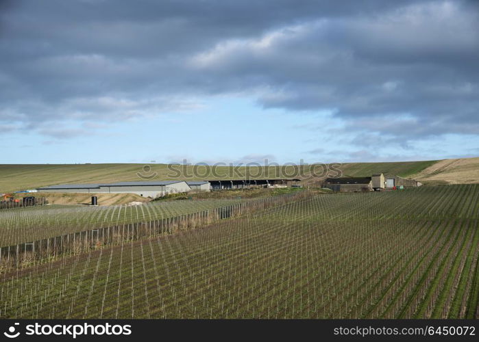 Landscape image of vineyard in English countryside scene with moody sky and clouds