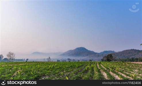 Landscape images of white clouds, blue sky and fog in the morning cover green rice fields and mountain range, that beautiful nature background and travel attractions in Thailand.