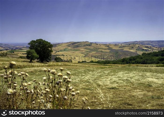 Landscape in Campobasso province, Molise, Italy, along the road to Termoli