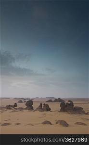 Landscape in Desert