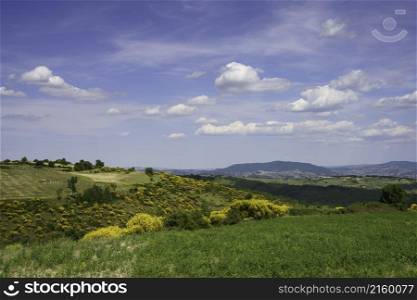 Landscape in Molise near Macchiagodena and Frosolone, Isernia province, at June