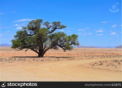 landscape in Namibia, Africa