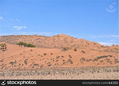 landscape in Namibia, Africa