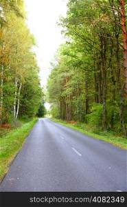 Landscape in Poland asphalt road into forest, early autumn