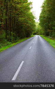 Landscape in Poland asphalt road into forest, early autumn