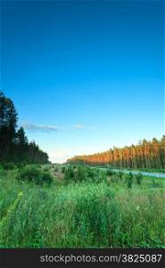 Landscape in Poland asphalt road through forest, early autumn