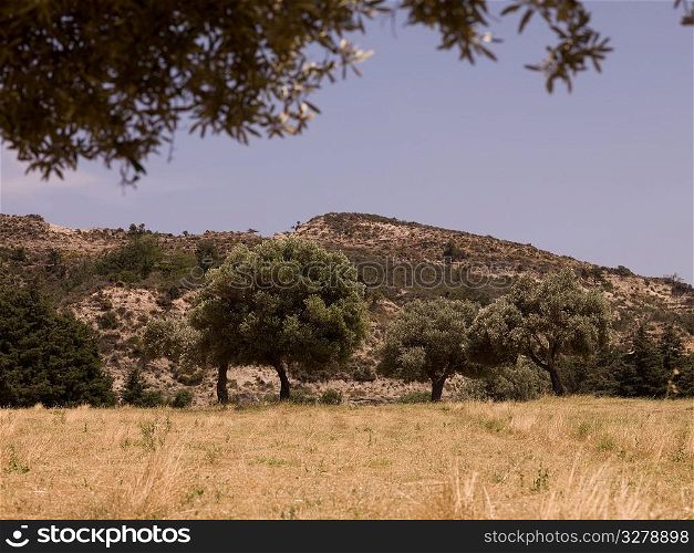 Landscape in Rhodes Greece