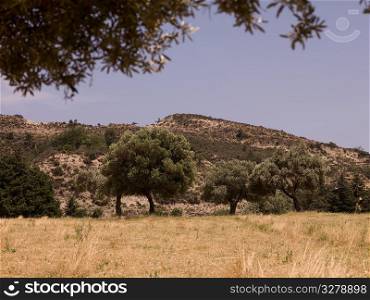 Landscape in Rhodes Greece