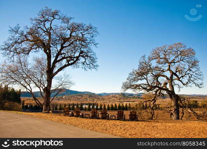 Landscape in Sonoma County, CA