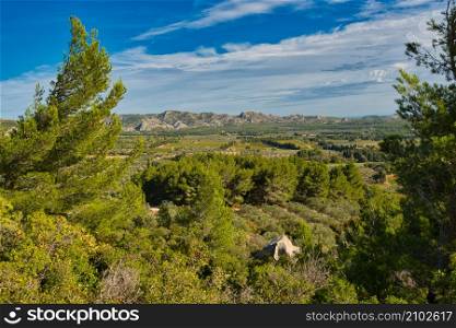 Landscape in the Alpilles region in Provence
