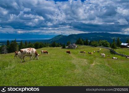 Landscape in the Alps of Switzerland