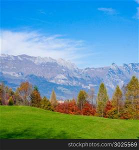 landscape in the Alps with fresh green meadows. Swiss Alps
