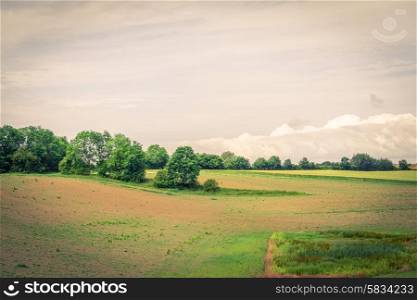Landscape in the country with trees and soiled fields