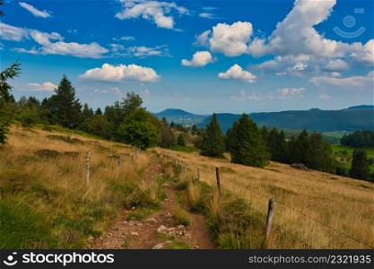 landscape in the vosges mountains in france