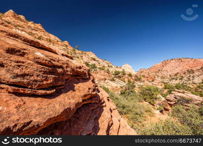 Landscape in Zion National Park. Landscape with rock formations in Zion National Park, Utah, USA