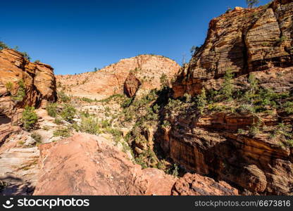 Landscape in Zion National Park. Landscape with rock formations in Zion National Park, Utah, USA