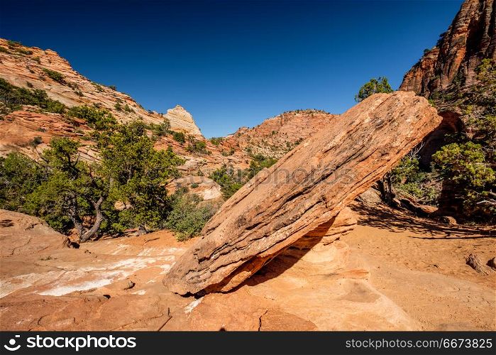Landscape in Zion National Park. Landscape with rock formations in Zion National Park, Utah, USA
