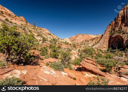 Landscape in Zion National Park. Landscape with rock formations in Zion National Park, Utah, USA