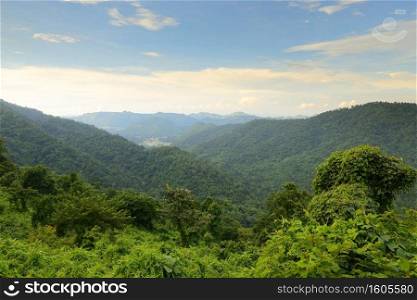Landscape Khao Yai Nation Park of Thailand Tropical Rain Forests,mountain landscape