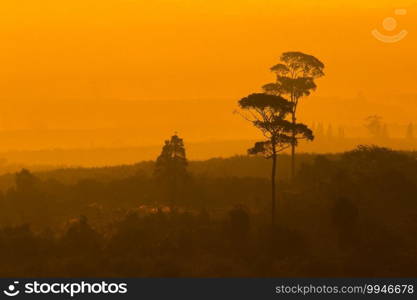 Landscape mountain tree silhouette On the orange sun light background