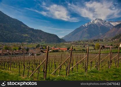 Landscape near Meran in South Tyrol