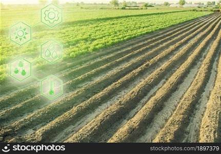 Landscape of a farm plantation field and hexagons with innovations. Science of agronomy. Improvement yield quality. Reducing the impact on environment. European organic farming.