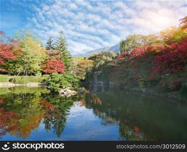 Landscape of a forest in beautiful fall colors reflected on waterfront in Gyeongju, South Korea.