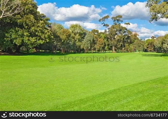 landscape of a green golf field near the city