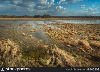 Landscape of a meadow flooded with rainwater, Czulczyce, Poland
