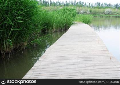 Landscape of a wooden bridge in the water