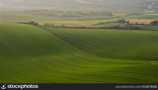 Landscape of agricultural fields during Summer evening