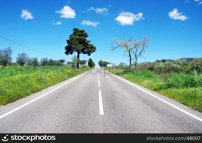 Landscape of alentejo road