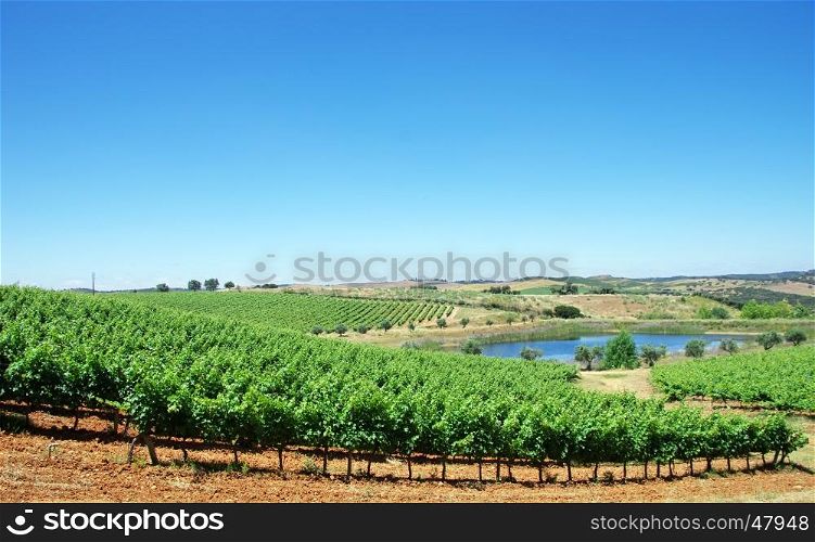 landscape of Alentejo vineyards
