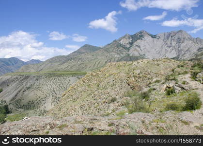 Landscape of Altai Mountains and holiday home in Russia with forest and plants