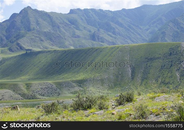 Landscape of Altai mountains in Russia with forest and plants
