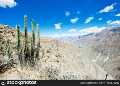 landscape of Arequipa, Peru&#xA;&#xA;