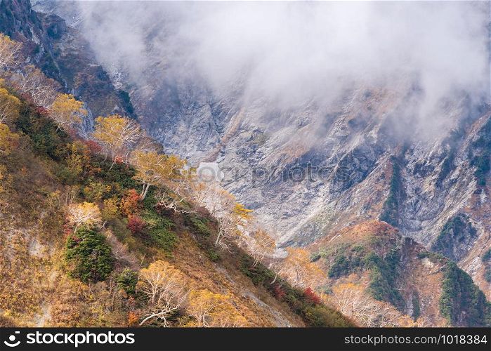 Landscape of Autumn Fall of Hakuba Valley in Nagano Chubu Japan