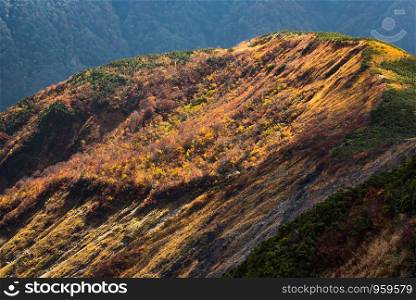 Landscape of Autumn Fall of Hakuba Valley in Nagano Chubu Japan