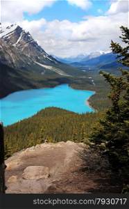 Landscape of beautiful Peyto Lake in Banff National Park, Canada