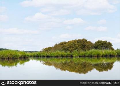 landscape of Briere Marsh in summer day in Briere Regional Natural Park, France