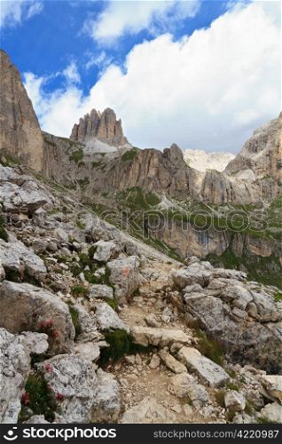 landscape of Catinaccio mountain on summer, Italian Dolomites