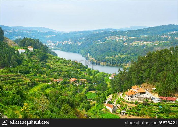 Landscape of Douro wine region in the sunny day. Portugal