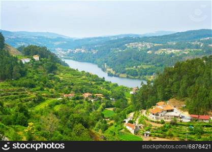 Landscape of Douro wine region in the sunny day. Portugal